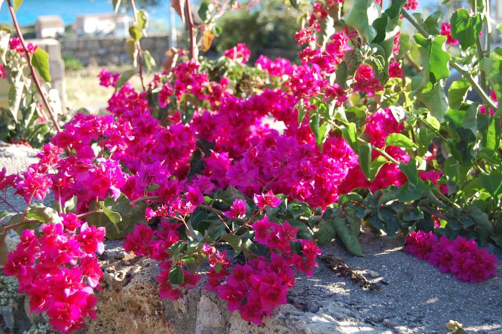 Meropi Villas Kardamyli Exteriér fotografie